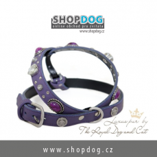 kožené postroje pro psy značky the Royal Dog and Cat, www.shopdog.cz - KRAFT Servis s.r.o.